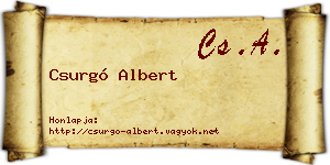 Csurgó Albert névjegykártya